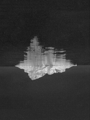 cover image of Bottom of the Iceberg